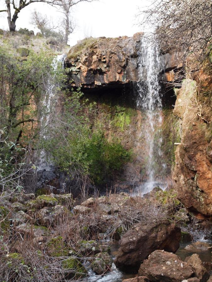 Bear Creek Falls Lodge On 67 Acres Creek & Waterfalls Millville エクステリア 写真