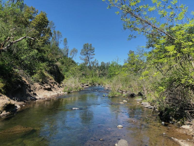 Bear Creek Falls Lodge On 67 Acres Creek & Waterfalls Millville エクステリア 写真