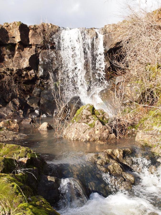 Bear Creek Falls Lodge On 67 Acres Creek & Waterfalls Millville エクステリア 写真