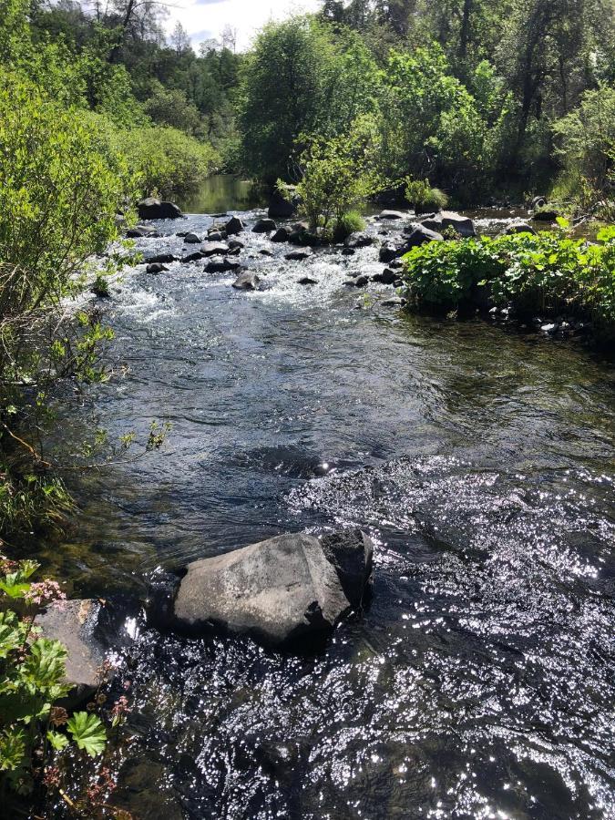 Bear Creek Falls Lodge On 67 Acres Creek & Waterfalls Millville エクステリア 写真