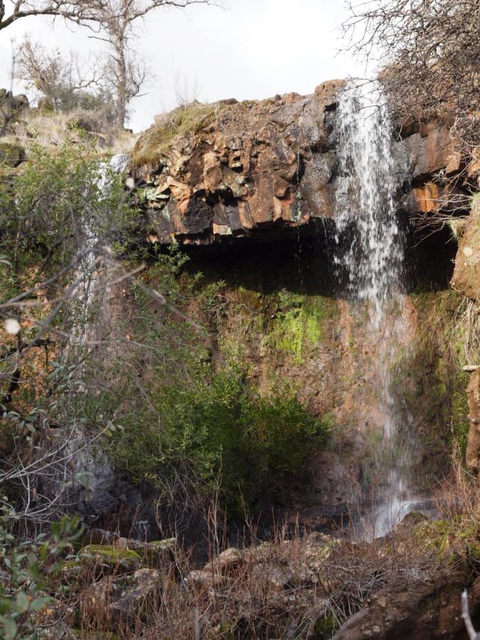 Bear Creek Falls Lodge On 67 Acres Creek & Waterfalls Millville エクステリア 写真