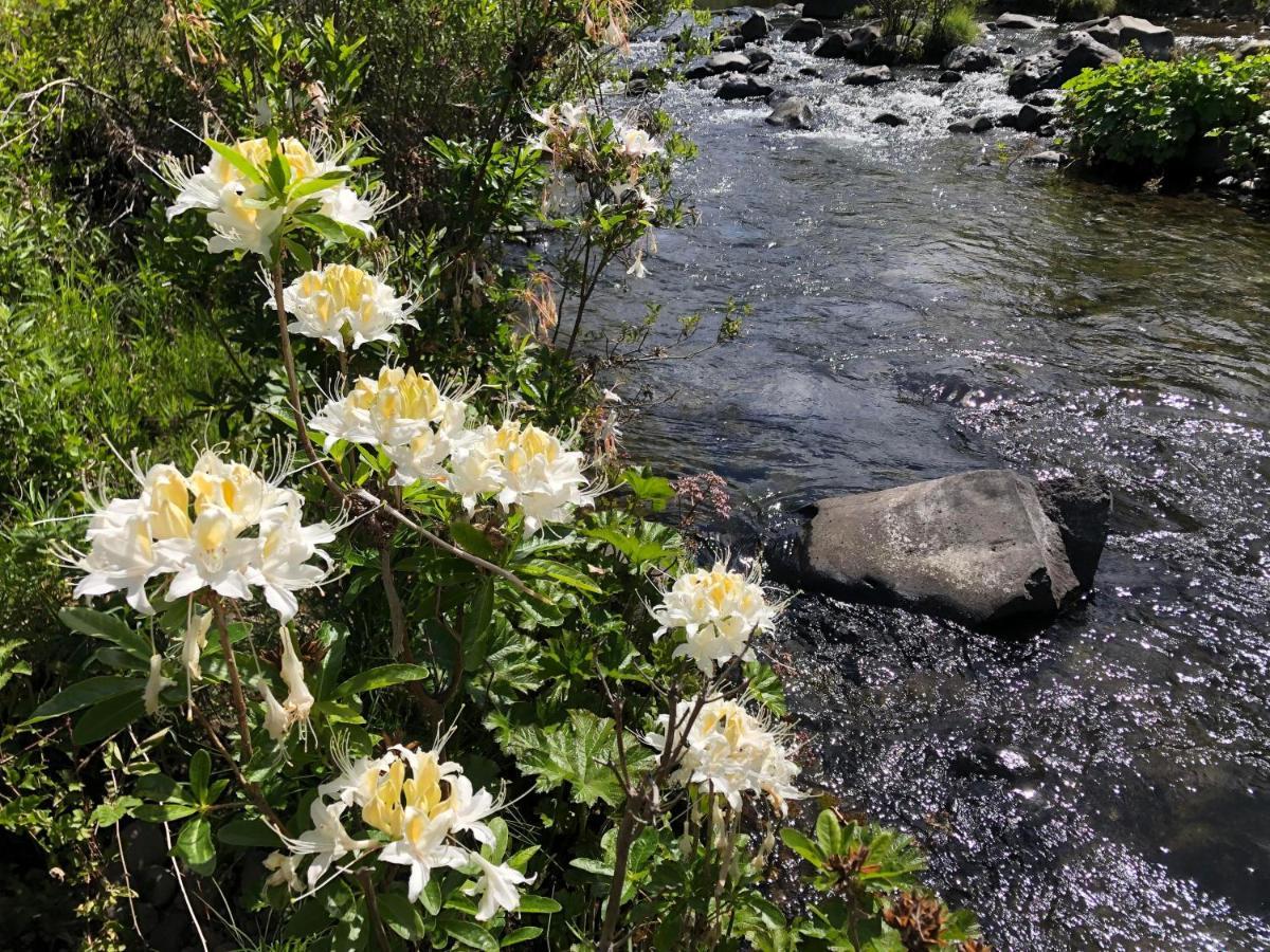 Bear Creek Falls Lodge On 67 Acres Creek & Waterfalls Millville エクステリア 写真